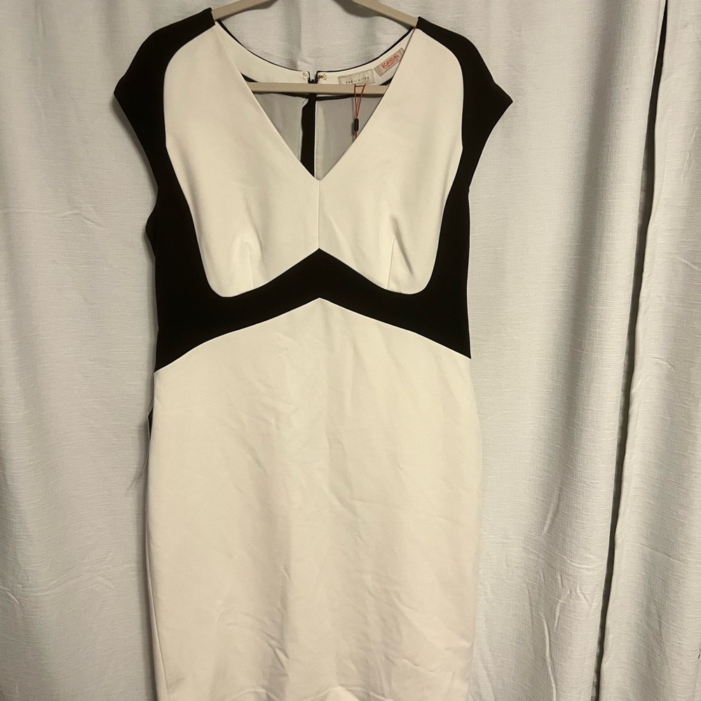The Limited Black and White Mini Dress